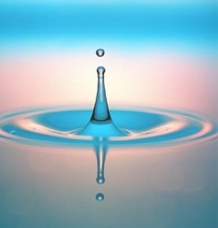 A water droplet hitting the surface of water