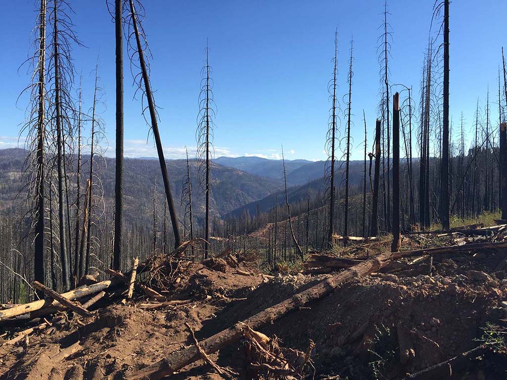 Photo of the El Dorado National Forest after the 2014 King Fire in Northern California