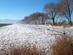 Picture of frozen sprinkler system in Mojave