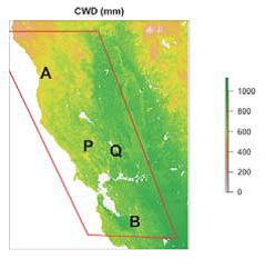 Figure 1. Study area in northern and central California coast, A is Angelo Reserve, P is Pepperwood Preserve, Q is Quail Ridge Reserve, and B is Blue Oak Regional Reserve.