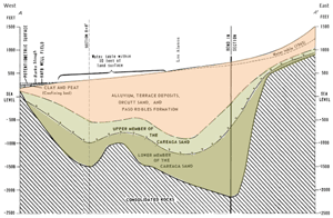 stratigraphic section