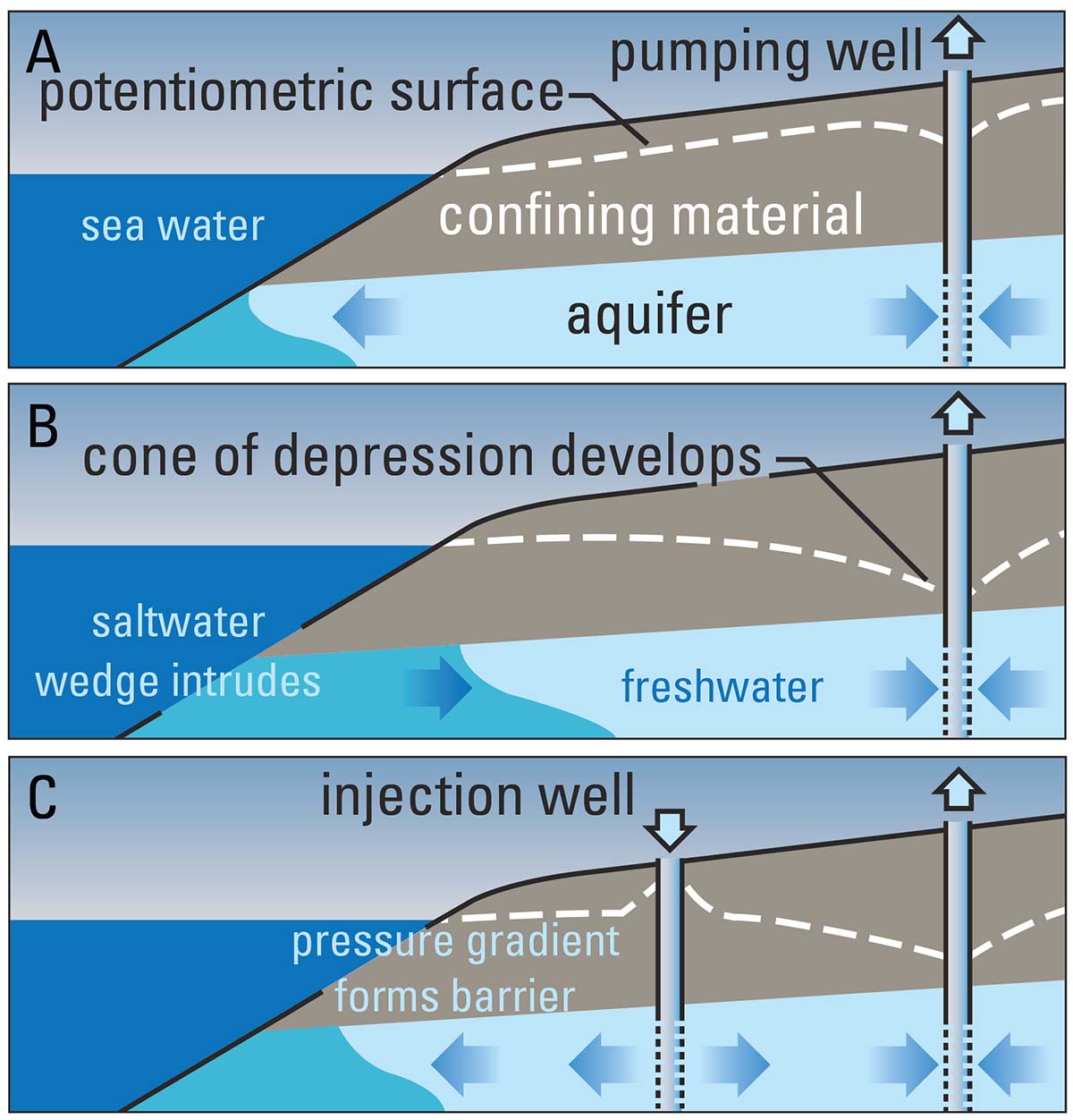 Illustration of how the seaward movement of freshwater prevents seawater from encroaching coastal aquifers.