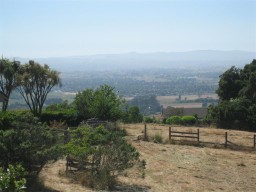 Click for a picture of Santa Rosa Plain