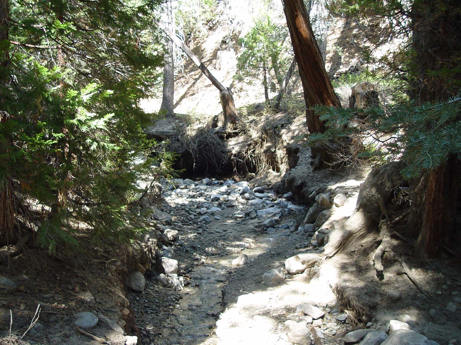 Photo of dried creek bed in San Gorgonio Pass, California.